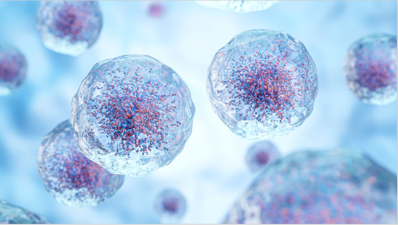 Streamlining Advanced Therapy Tech Transfer: Balancing Early-Stage Needs with Future Success