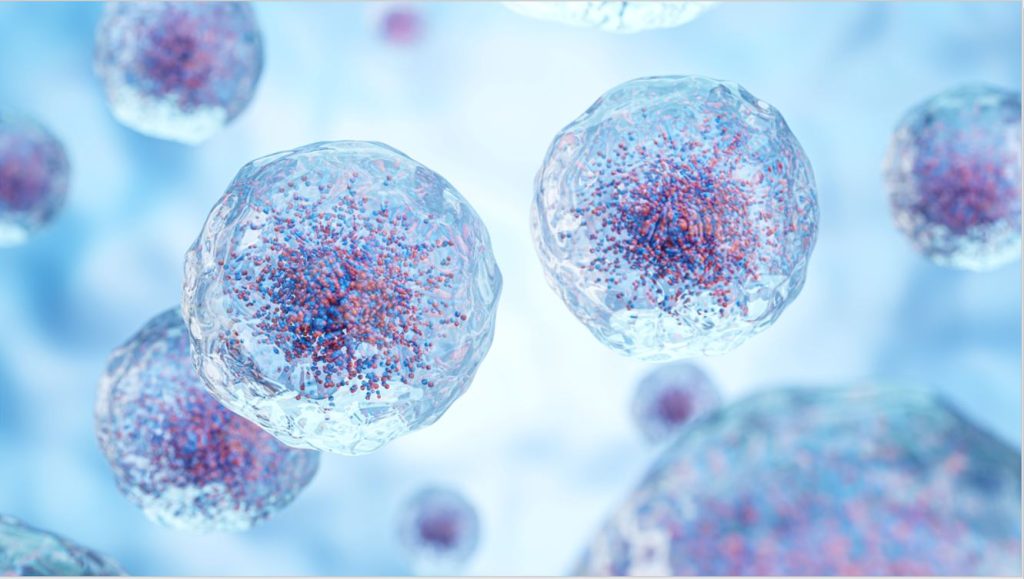 Microscopic view of cellular structures representing the complexity of advanced therapies, emphasizing the importance of strong CDMO partnerships in optimizing cell therapy development and manufacturing.