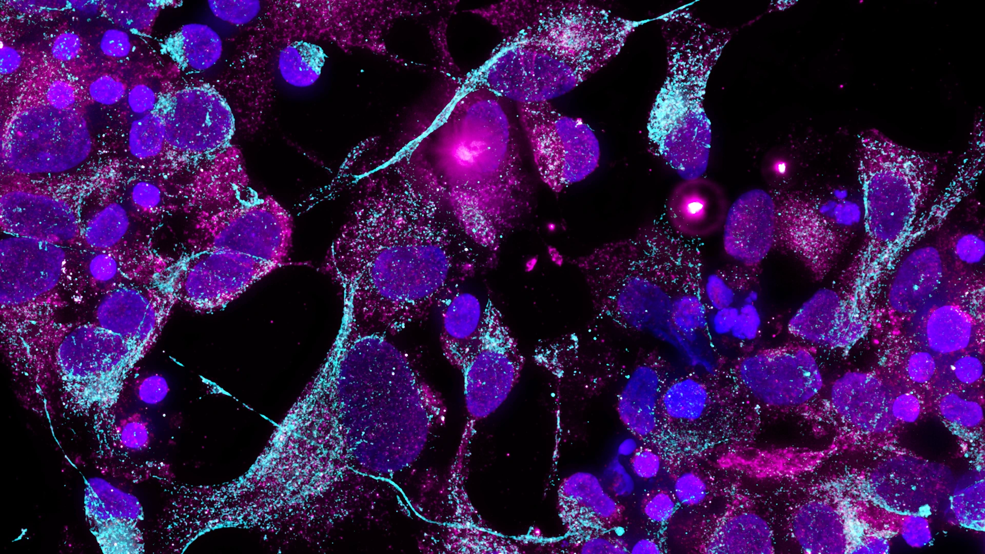 Characterizing Starting Materials for Cell and Gene Therapy Development