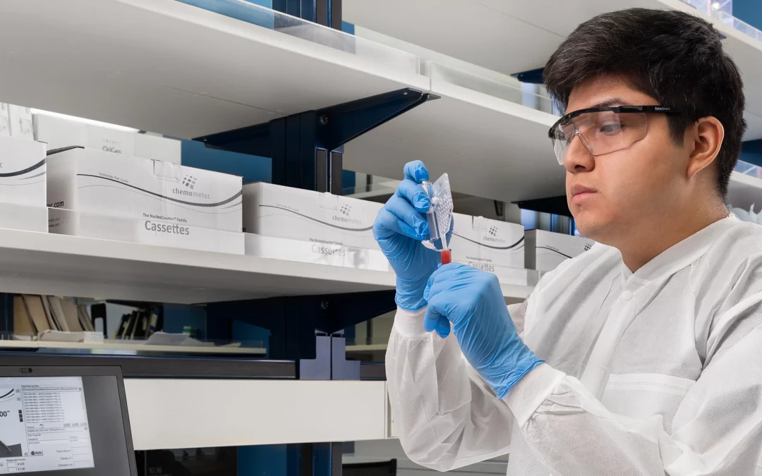Contract Manufacturing Quality Agreement: Defining Governance in CDMO Partnerships