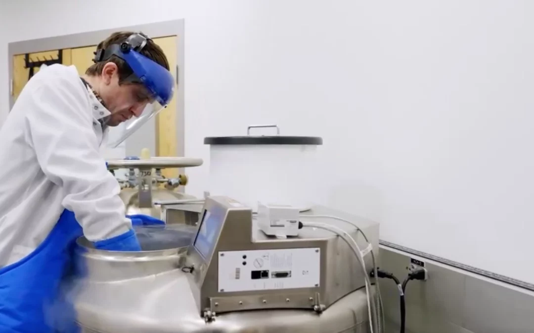 Cryopreservation Best Practices for Cell and Gene Therapy Source Material